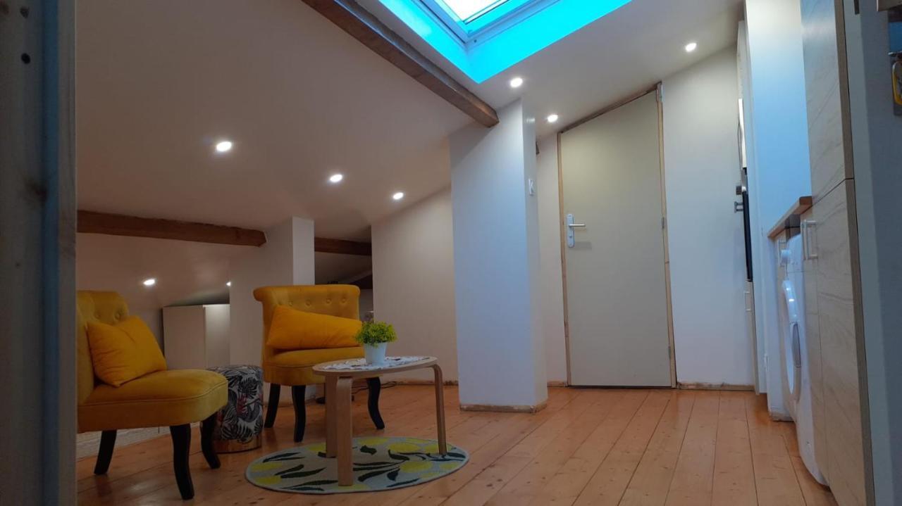 Appartement Le Bonheur Pibrac ภายนอก รูปภาพ